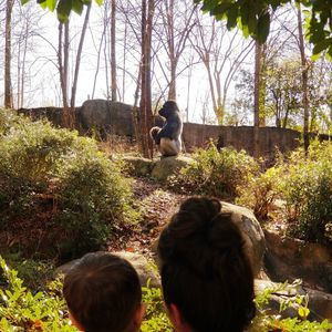 Meet your Posher, Shaneice